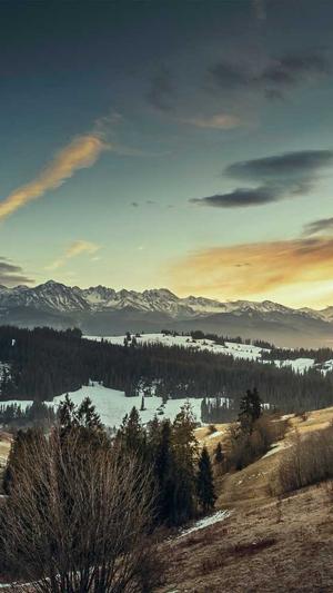 孕妇可以吃白瓜吗截图2